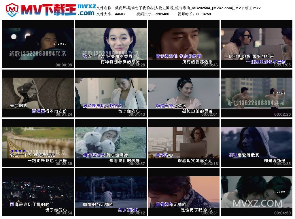 戴尚辉-是谁伤了我的心(人物)_国语_流行歌曲_MC202584
